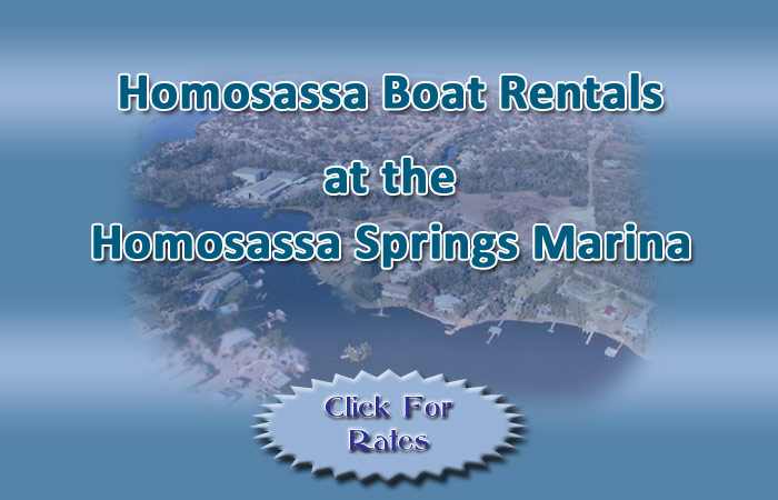 Boat Storage  Homosassa Springs Marina